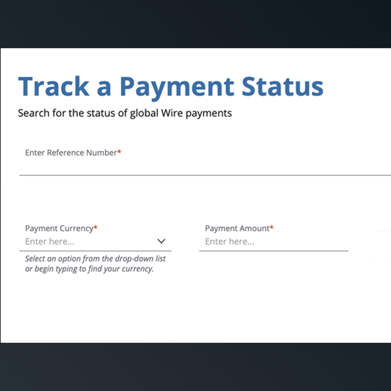 Track a payment status screenshot