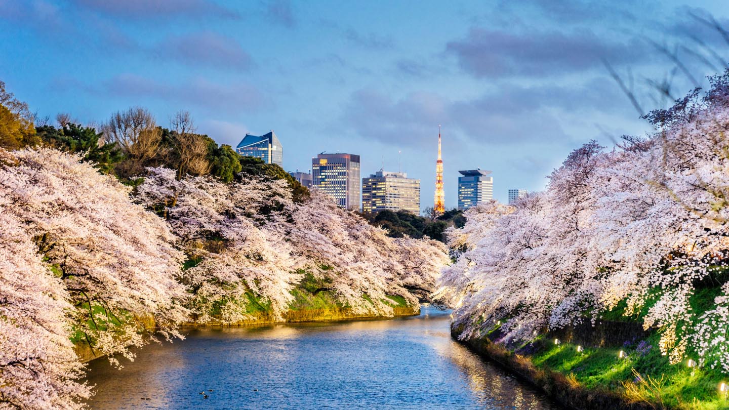 Tokyo skyline at dusk, Japan M&A outlook