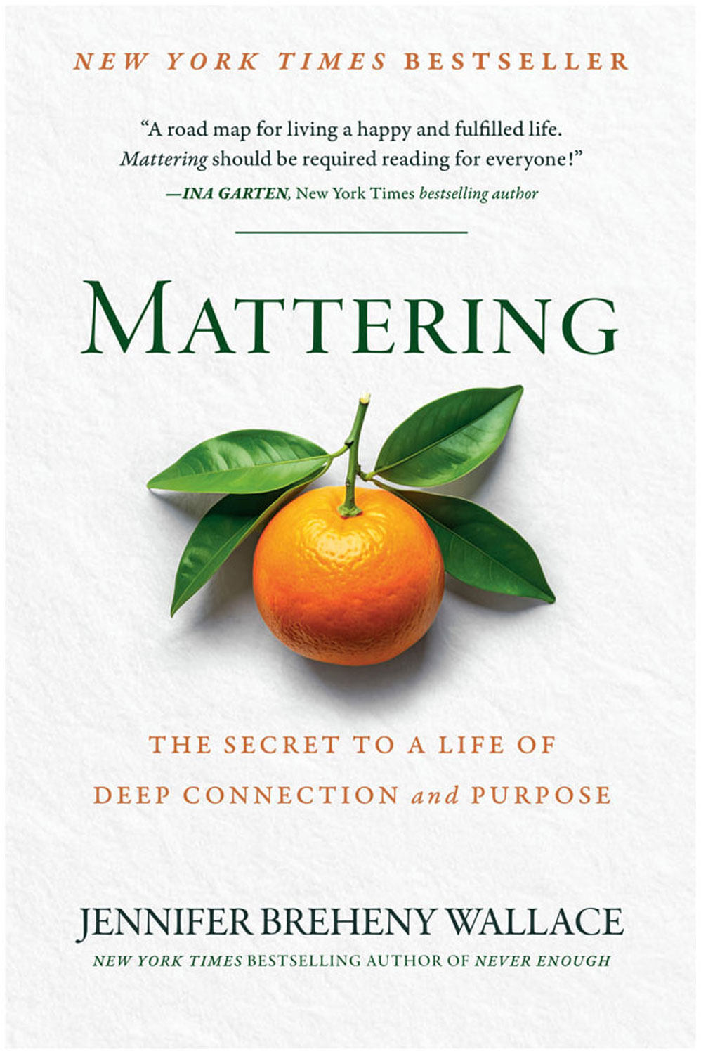Mattering: The Secret to a Life of Deep Connection and Purpose, by Jennifer Breheny Wallace